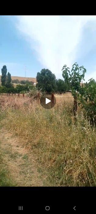 Тошкент вилояти Бустонликда ер сотилади