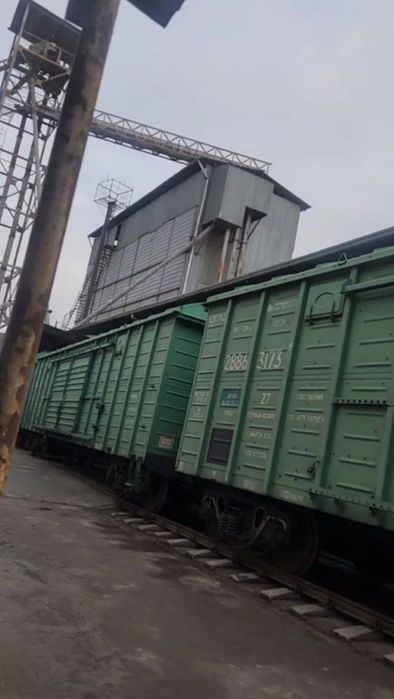 Прадажа производства с веткой