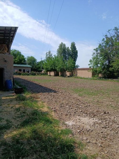 Yer Sotiladi yaxshi lakatsada joylashgan
