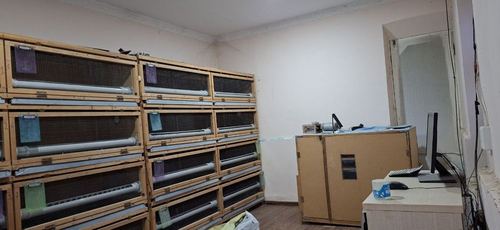2-xonali uy, 6 m²