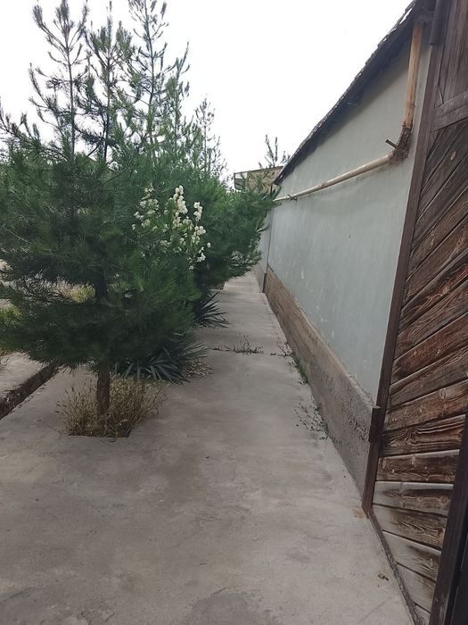 Nazarbek 3 sotik yer sirchni sotiladi
