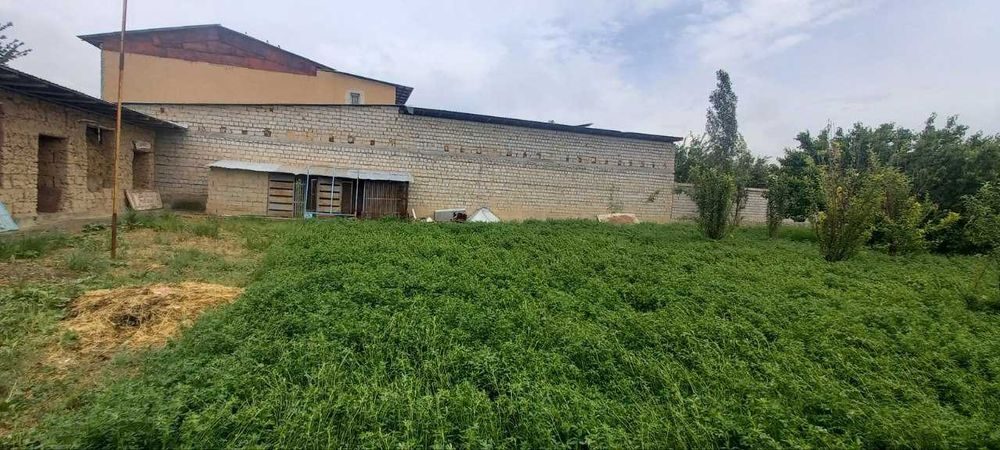Nazarbek tekstil kochada yer 4xona . 6 sotix . Domga almashamiz ...
