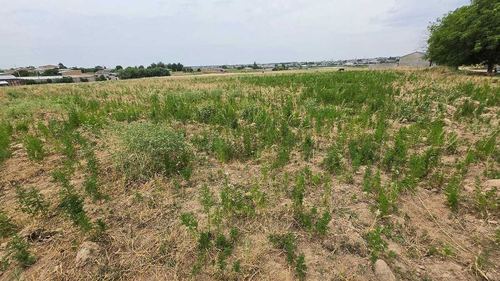 Продается земля 13 соток Назарбек Туркистон