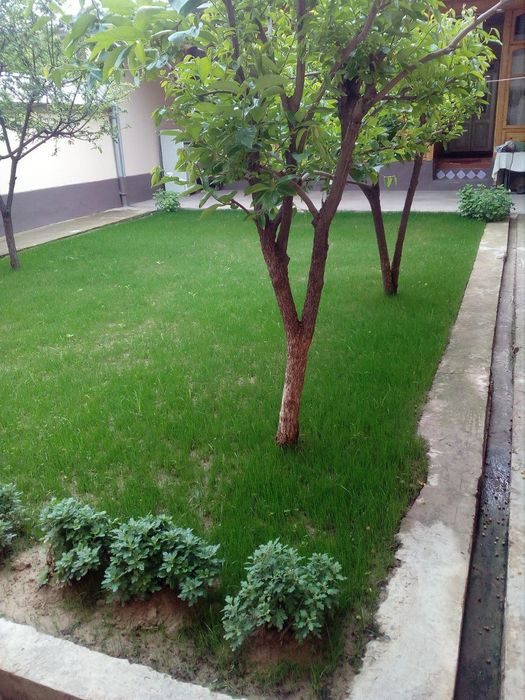 9-room house, 300 m², Tashkent, Almazar District, for sale