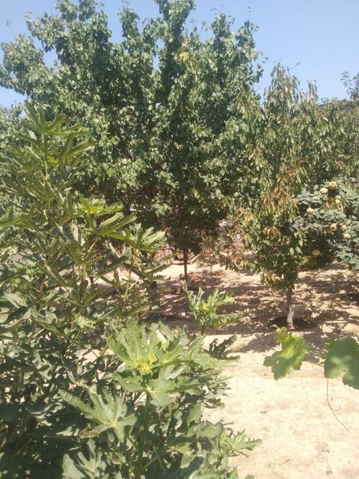 4-room house, 115 m², Tashkent, Almazar District, for sale