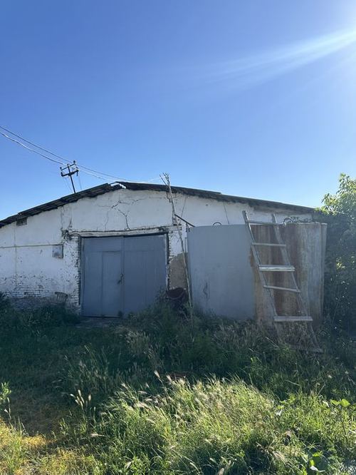 Ferma sotladi maniz Tolabi oq tomda