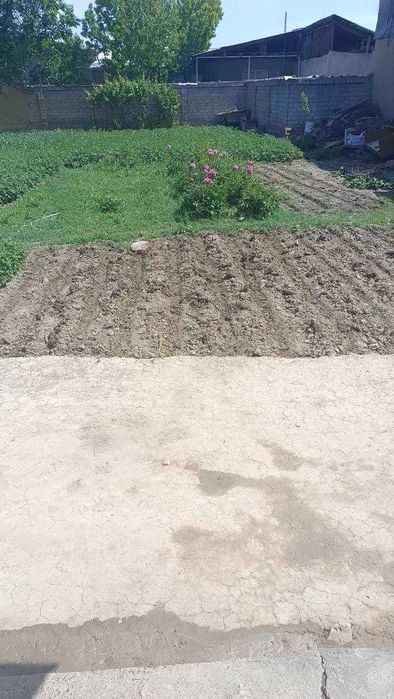 2-xonali uy, 30 m², Toshkent, Olmazor tumani, sotuvga