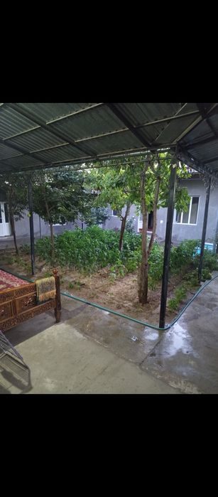 Uchastka sotiladii