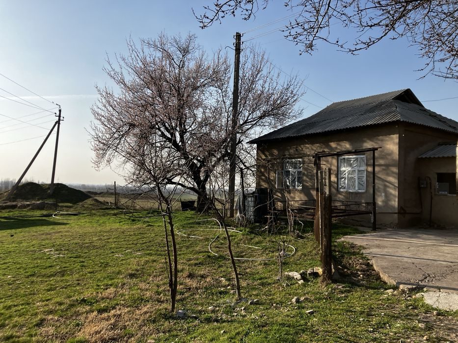 3-room house, 2200 m², Нурафшан (Тойтепа), for sale