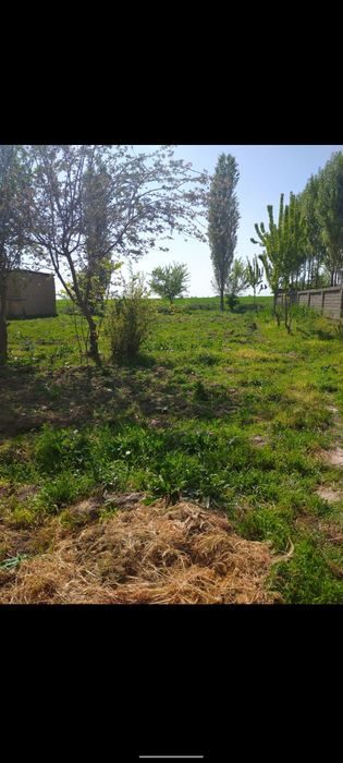 3-room house, 2253 m², Нурафшан (Тойтепа), for sale