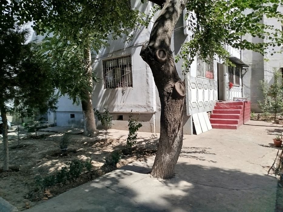 1-room apartment, 31 m², Нурафшан (Тойтепа), for sale