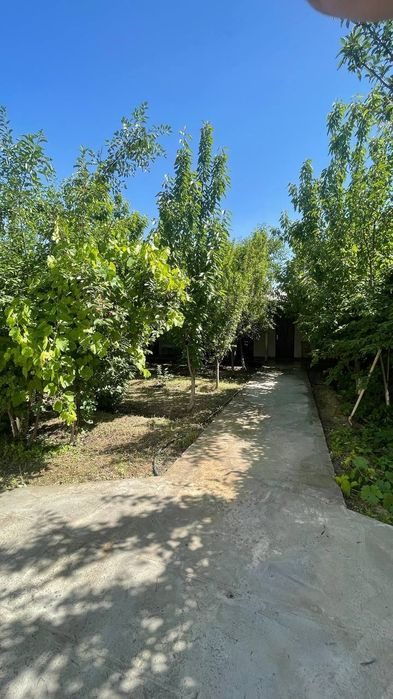 3-room dacha, 6 m², Нурафшан (Тойтепа), for sale