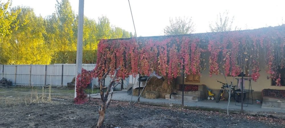 3-room house, 1000 m², Нурафшан (Тойтепа), for sale