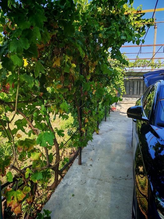 3-room house, 600 m², Нурафшан (Тойтепа), for sale