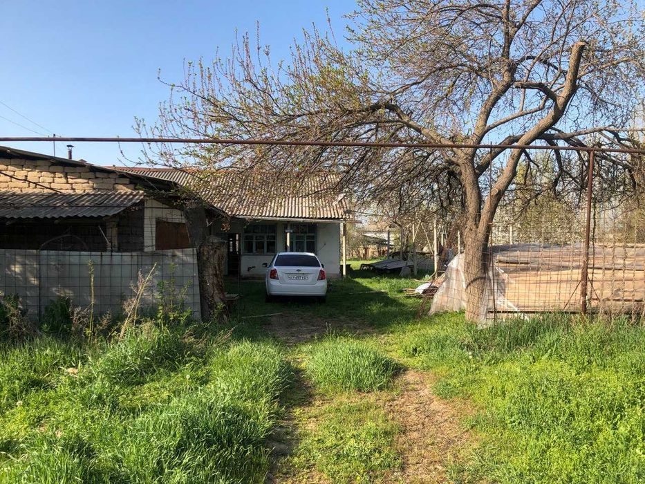 4-room dacha, 2500 m², Нурафшан (Тойтепа), for sale