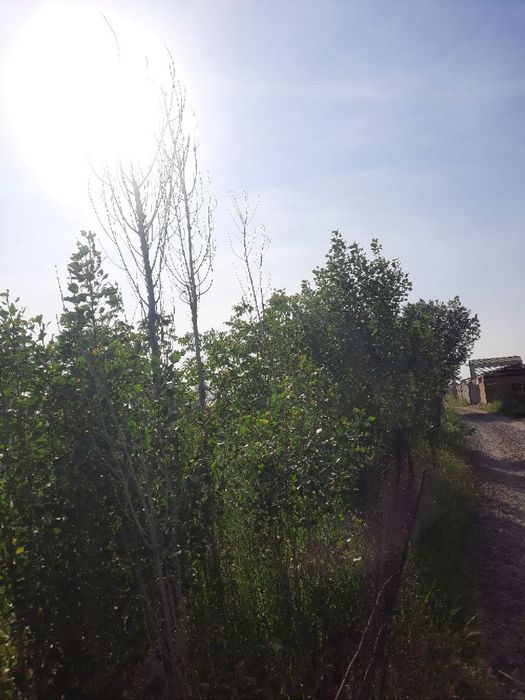5-room dacha, 200 m², Нурафшан (Тойтепа), for sale
