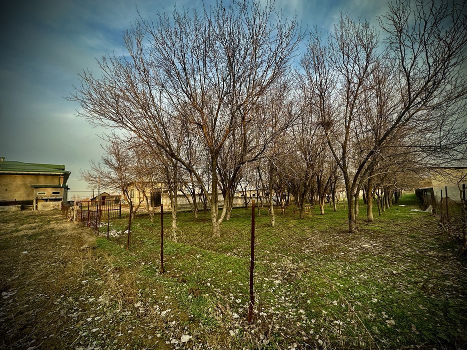 Arzon yer toshken viloyati nurafshon shaxar 16sotih