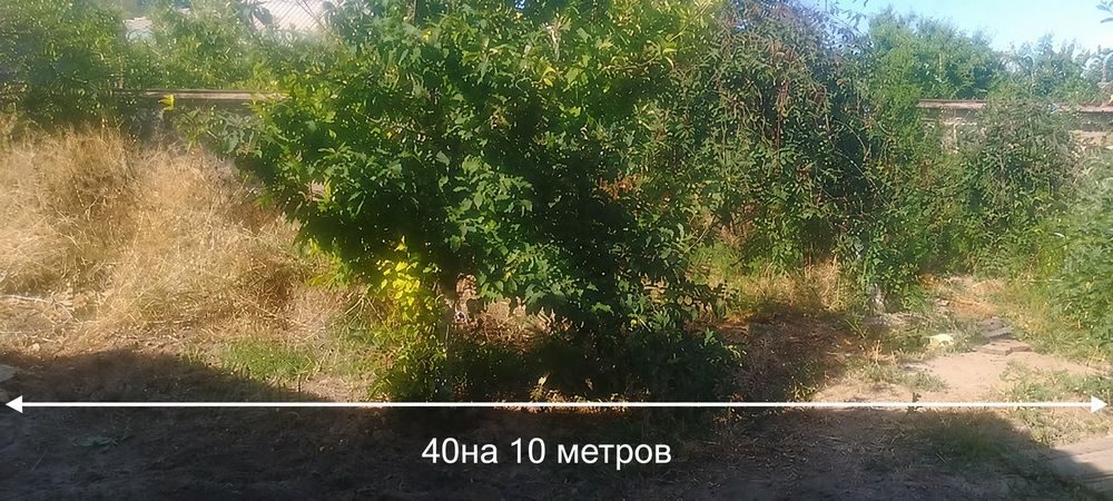 Есть свет, вода газ и центральная канализация