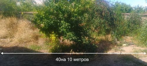 Есть свет, вода газ и центральная канализация