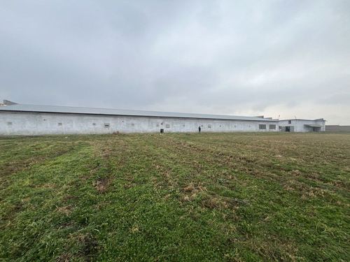 Откормочная база-ферма на продажу