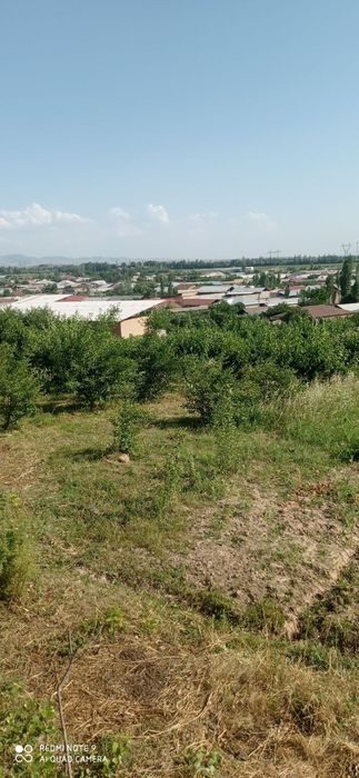 Bog' 6 sotx dakumentlari bor