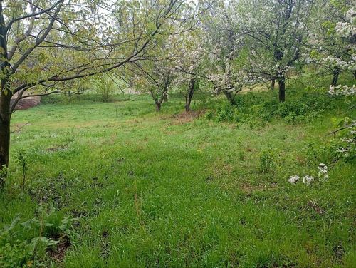 Паркент, Сукок йули Коракалпок. 20 сотых.