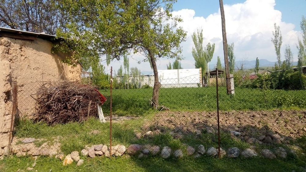 участок с кодастром