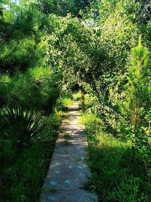 4-room dacha, 60 m², Паркент, for sale