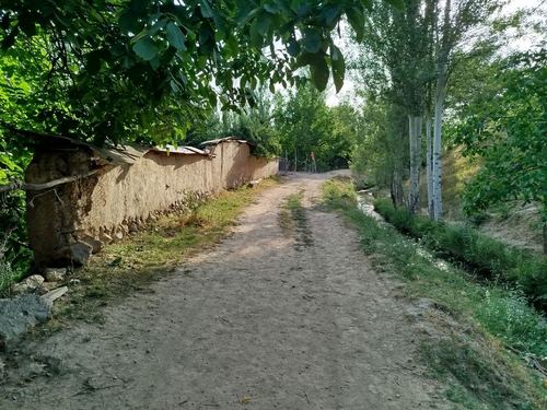 Yer sotiladi 6 soʻtix narxi kelishiladi