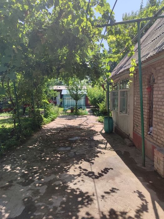 Arenda Dacha parkent