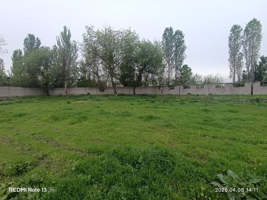 Срочно продам 31 сотку земли недалеко от ташкента