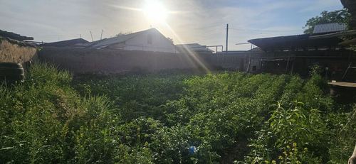 Uy ozimizni nomizda