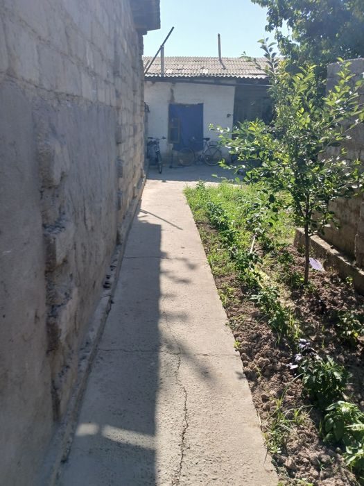Uy xovli yer sotiladi