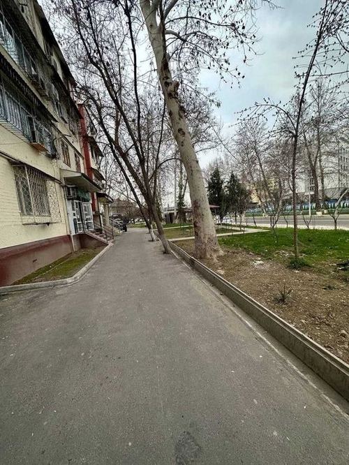 2-room apartment, 51 m²