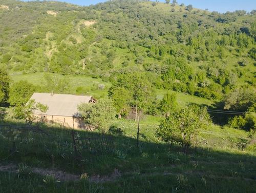 3-room dacha, 22000 m²