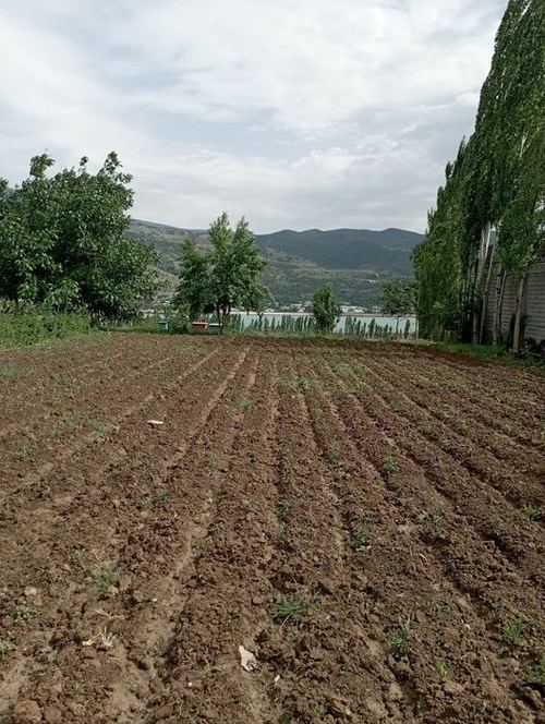 4-room house, 12000 m²