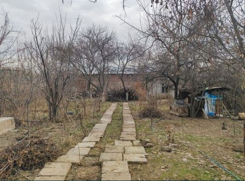 6-room house, 10000 m²