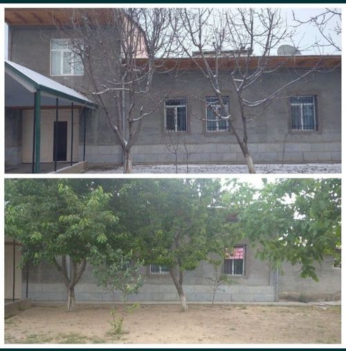 12-xonali uy, 659 m²