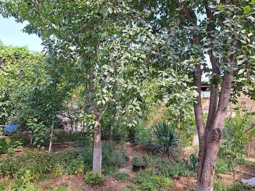 Samarqand Darvozada 3.68 sotixli hovli sotiladi.