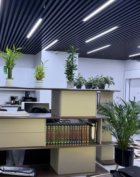 Аренда офис ЖК Nest One 66м2