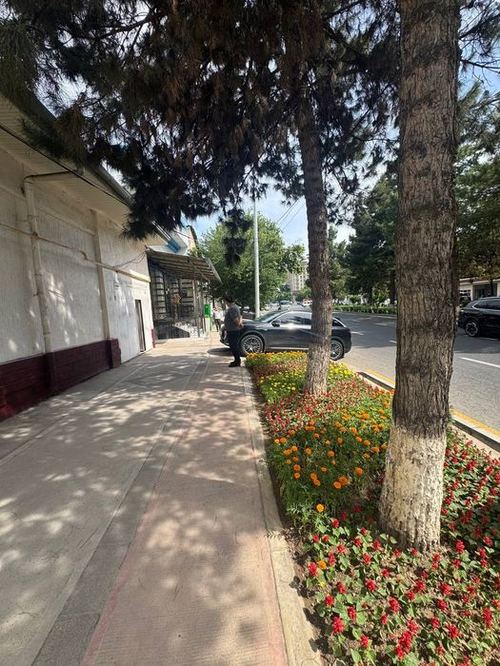 3-комнатный дом, 150 м²