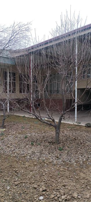 7-комнатный дом, 6000 м²