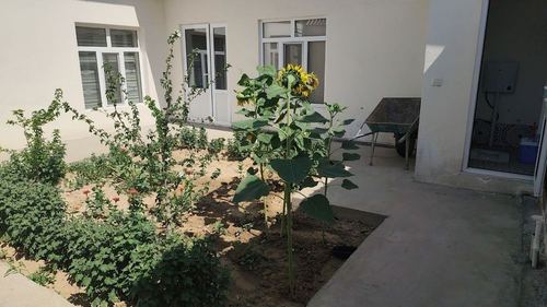 3-room house, 2 m²