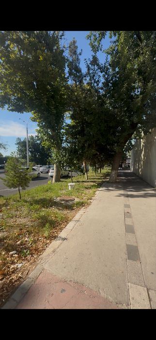 1-xonali uy, 100 m²