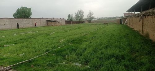 1-комнатный дом, 3 м²