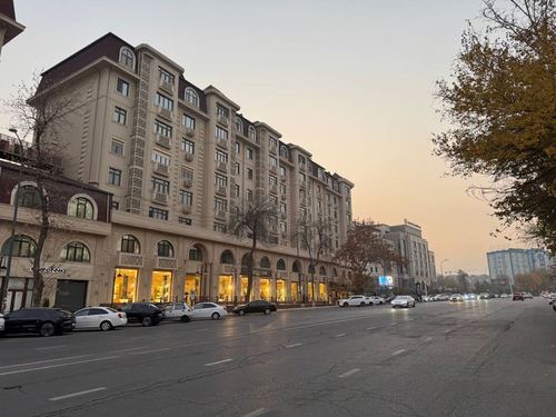 ул.Осиё/Новомосковская - Сдается в аренду помещение вдоль дороги 252м2