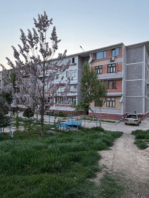 2-комнатная квартира, 56 м²