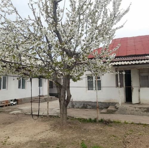 4-комнатная дача, 10 м²