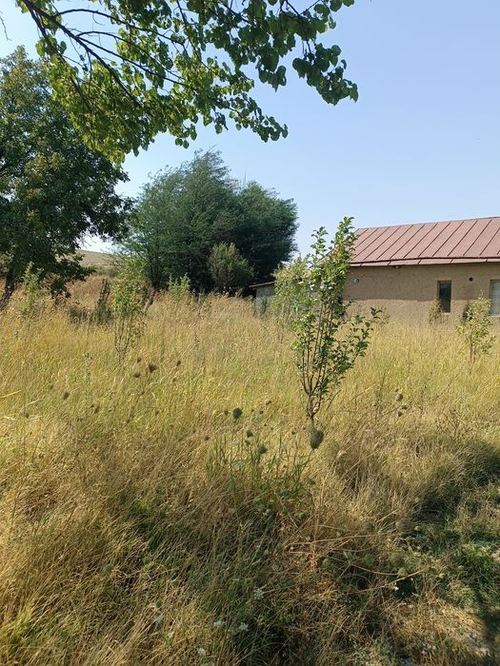 5-комнатная часть дома, 900 м²