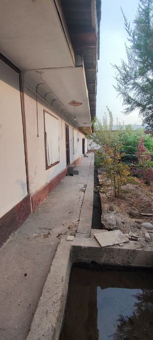 4-комнатный дом, 12000 м²